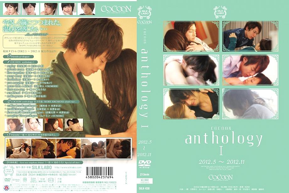 SILK-030 DVDカバー画像