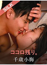 SILKS-127 DVD封面图片 