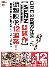 SSHN-009 DVDカバー画像