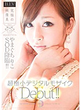 STAR-255 DVD Cover