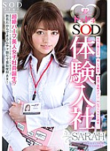 STAR-286 DVD封面图片 