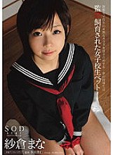 STAR-358 DVD封面图片 
