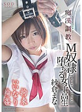 STAR-543 DVD封面图片 