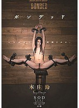 STARS-141 DVD封面图片 