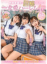 STARS-308 DVDカバー画像