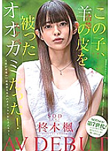 STARS-339 DVDカバー画像