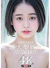 STARS-371 DVDカバー画像