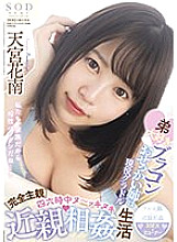 STARS-461 DVD封面图片 