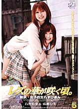 JL-005 DVD Cover