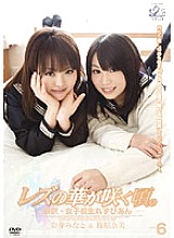 JL-006 Sampul DVD