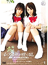 JL-01 DVDカバー画像