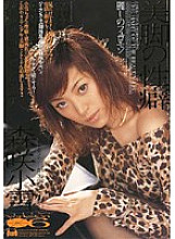 DMG-016 DVD Cover