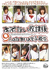 DVH-228 DVDカバー画像