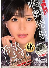 DFE-110 DVD封面图片 