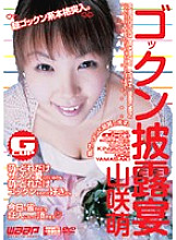 JL-021 DVD封面图片 