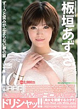 WDI-040 DVDカバー画像