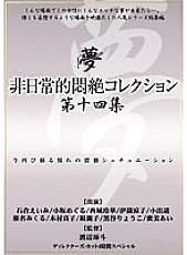 DPH-118 DVDカバー画像