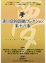 DPH-120 Sampul DVD