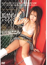 NWF-062 DVD封面图片 