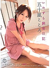 NWF-105 Sampul DVD