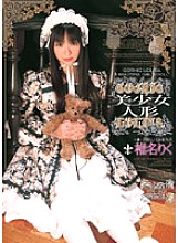 WF-269 Sampul DVD