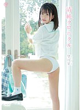 MMRAA-367 DVD封面图片 