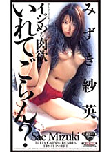DJS-003 DVD封面图片 