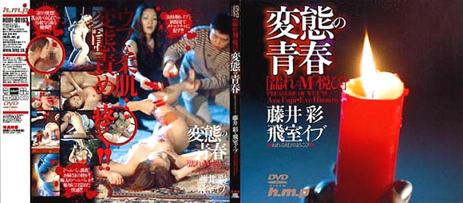 HODV-00193 DVDカバー画像