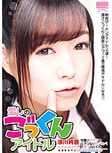 HODV-021117 Sampul DVD