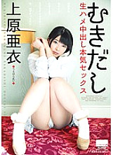 HODV-021141 Sampul DVD