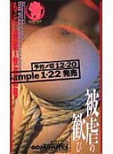 IKT-101 DVD封面图片 