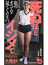 PXV-4100002 DVD封面图片 