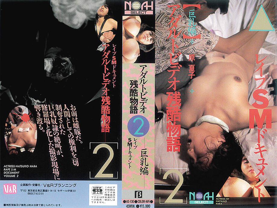 AS-130 DVDカバー画像