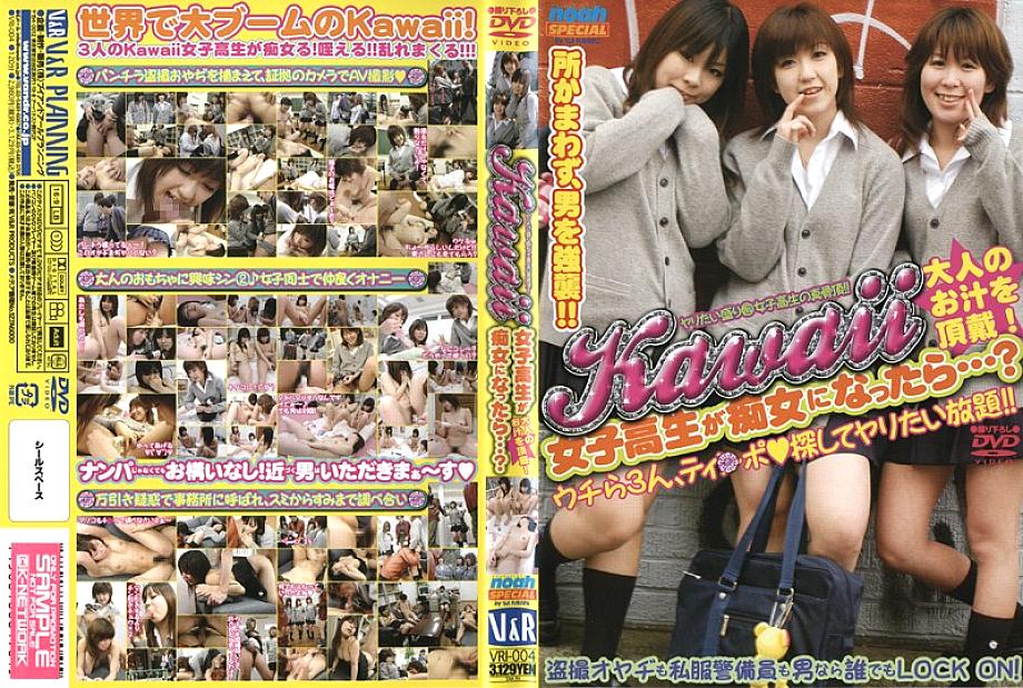 VRI-004 DVD Cover