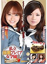 GCD-711 Sampul DVD