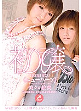 GUN-451 DVDカバー画像