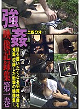 CP-001 Sampul DVD