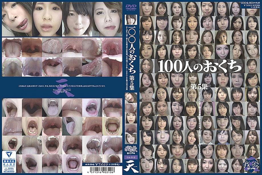 GA-312 DVD封面图片 
