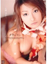 AZRD-041 Sampul DVD