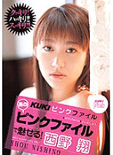 KK-133 DVDカバー画像