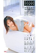 KT523 DVD Cover