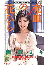 QX-167 DVD Cover