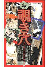 SS-010 DVD封面图片 