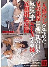 IBW-488 DVD封面图片 