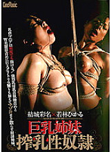 CMC-095 DVDカバー画像