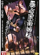 CMC-008 DVD Cover