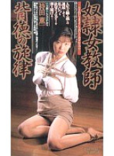 CS-265 DVD Cover