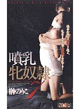 DCN-004 DVD封面图片 
