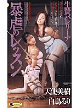 DVS-022 DVD封面图片 