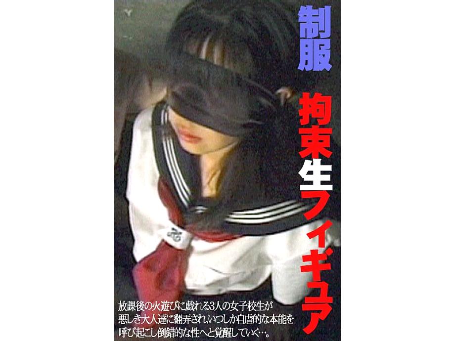 FE-336 DVD封面图片 